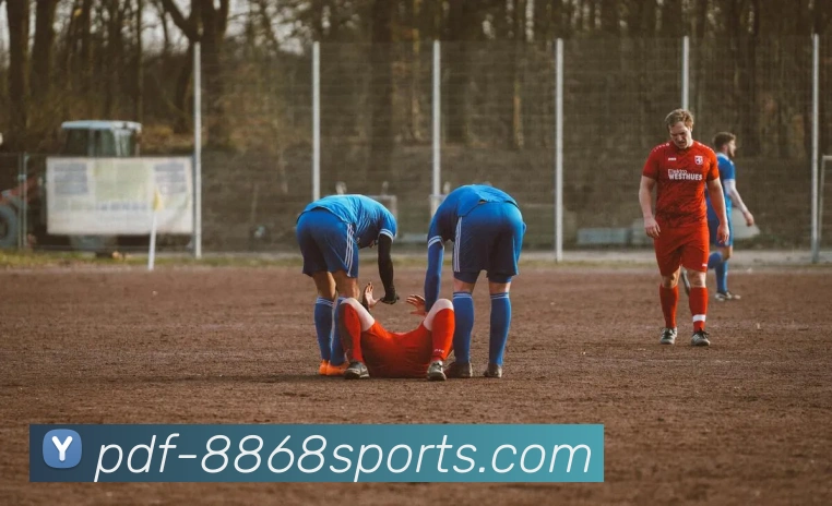 多媒体互动体验